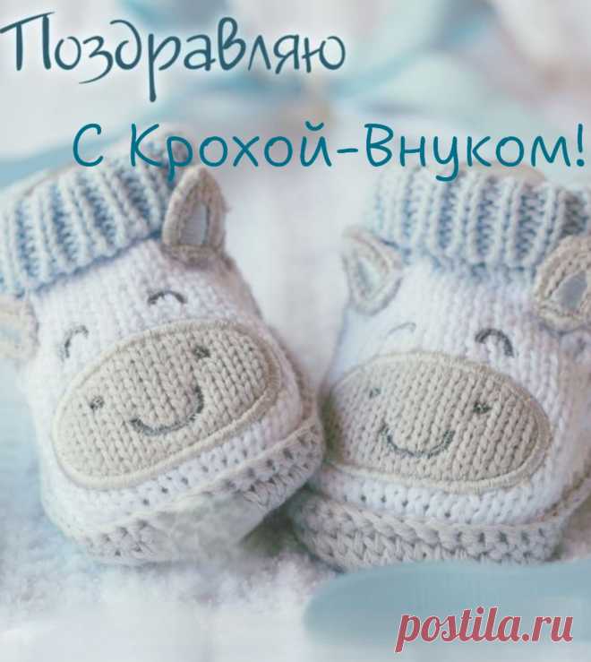 Рождение ребенка — это праздник,
А внука — праздник радостней вдвойне.
Ведь этот новорожденный проказник
Детьми рожден на радость всей семье!