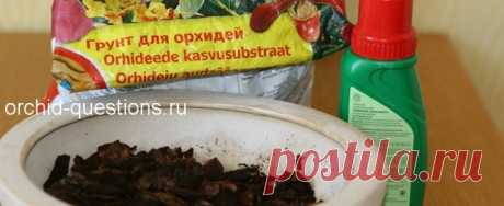 Удобрения для орхидей | Орхидеи: вопросы и ответы