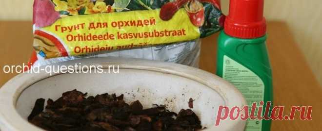 Удобрения для орхидей | Орхидеи: вопросы и ответы