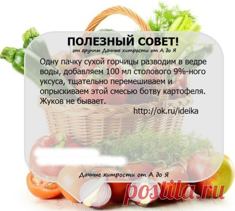Дачникам на заметку