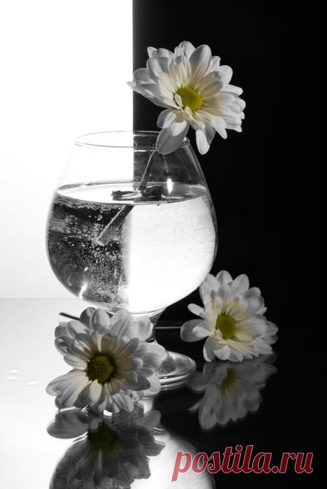 Image 110 / 112   натюрморт