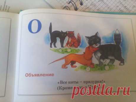 (61) Одноклассники