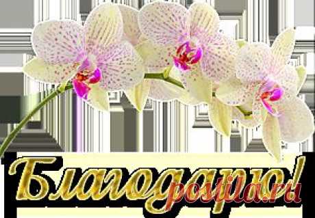 Рецепт снижения высокого сахара в крови.