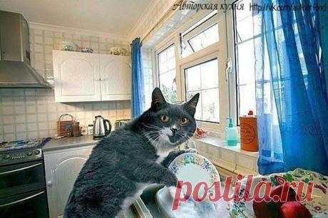 Фотографии на стене сообщества | 32 861 фотография | ВКонтакте