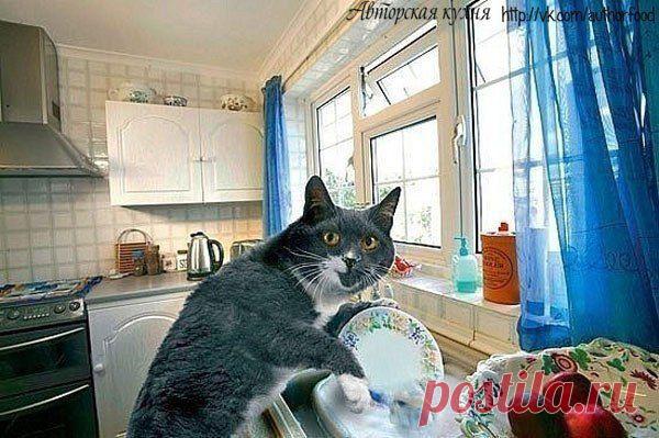 Фотографии на стене сообщества | 32 861 фотография | ВКонтакте