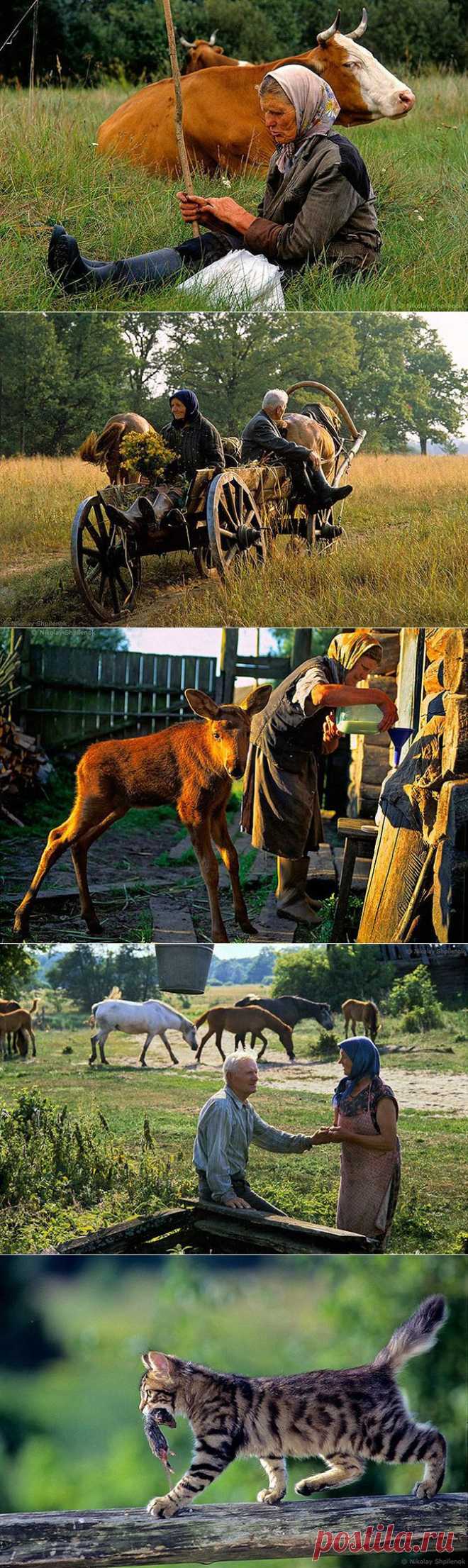 В затерянном мире | Fresher - Лучшее из Рунета за день