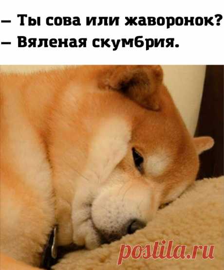 ,