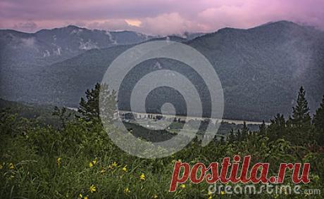 Stock Photos, Royalty-Free Images & Video Footage By Dreamstime Stock Photography