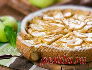 Шарлотка с яблоками рецепт с фото пошагово в духовке