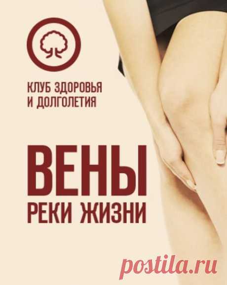Вены – реки жизни (Тренинг) Посетители сайта SoftLabirint.Com – Для Вас тренинг «Вены – реки жизни» который поможет очистить ноги от выпуклых вен, звездочек и синих узлов, устранит отекание голеней и стоп, избавит от мешков под глазами и вернет лицу четкие контуры.Тренинг включает разбор наиболее частых проблем венозной и