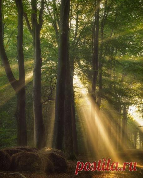 World&paradise Netherlands