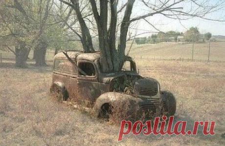 Одноклассники