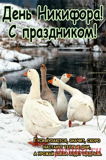 В Никифоров день!
Ухи много навари,
Пироги с рыбой пеки.
Будет пусть теперь тепло,
Разливается добро.