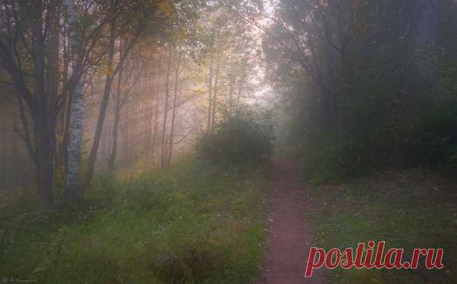 Луч солнца золотого...