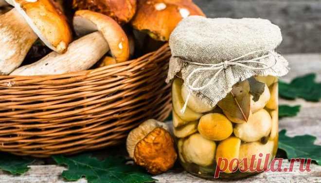 Маринованные белые грибы на зиму в банках. Простые рецепты приготовления