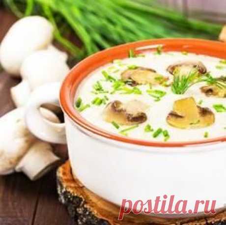Грибной крем-суп из шампиньонов рецепт