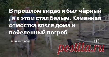 В прошлом видео я был чёрный , а в этом стал белым. Каменная отмостка возле дома и побеленный погреб