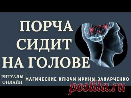 ПОРЧА НА ГОЛОВЕ. ЛЯРВЫ, ВНУШЕНИЕ, ПОДКЛЮЧКИ, СОСУДЫ, ГОЛОВНАЯ И ГЛАЗНАЯ БОЛЬ, МИГРЕНИ, ДАВЛЕНИЕ, ЗУД