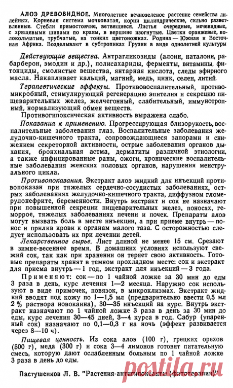 Алоэ древовидное