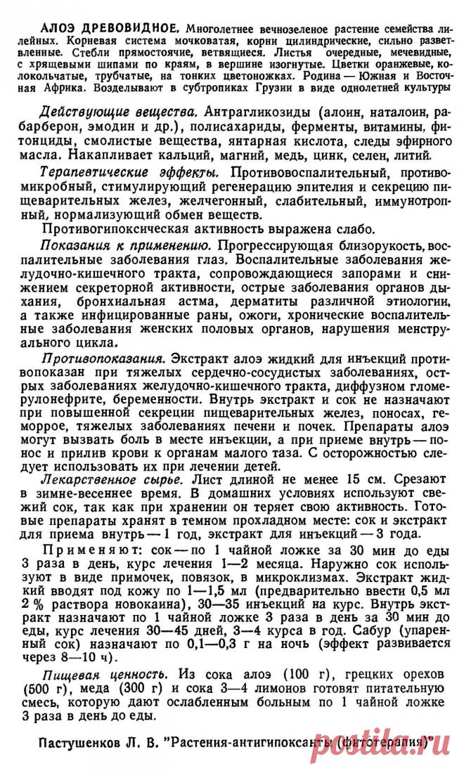 Алоэ древовидное