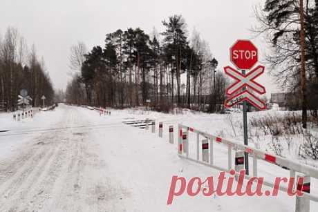 На железнодорожной подстанции в российском городе обнаружили СВУ. В Ярославле дежурный нашел самодельное взрывное устройство (СВУ) на железнодорожной подстанции. Утром 26 декабря он обнаружил подкоп под бетонной стеной, которая окружала трансформаторные будки станции Филино. Мужчина сразу же вызвал экстренные службы, которые подорвали СВУ в специальном контейнере.