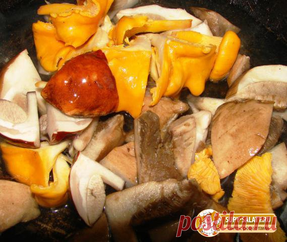 Вкусная икра грибная. Рецепт с пошаговыми фото