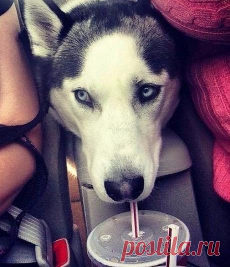 Мой Мир@Mail.Ru