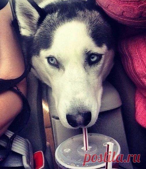 Мой Мир@Mail.Ru