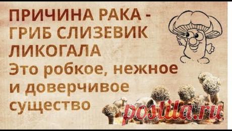Одноклассники