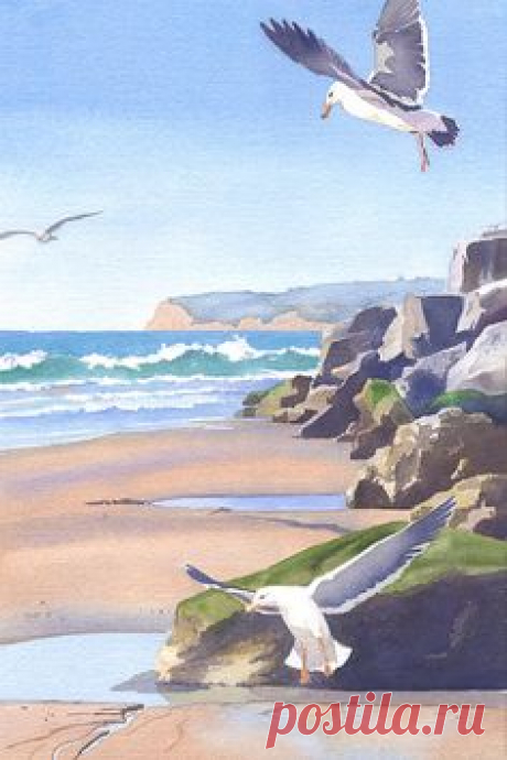 Mary Helmreich   WATERCOLOR    Three Seagulls At Coronado…