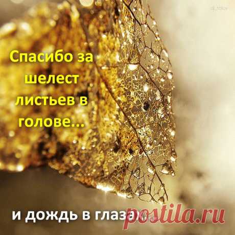 Афоторизмы dj_talay'a