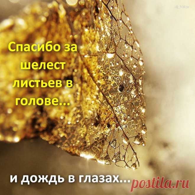 Афоторизмы dj_talay'a