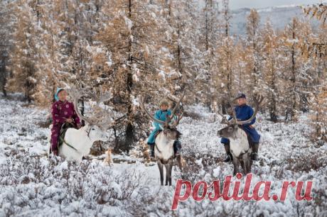 В гостях у сказки: простая жизнь на озере у Восточных Саян Хубсугул — высокогорное озеро, находящееся у южного склона Восточных Саян на севере Монголии. Здесь, в дали от цивилизации живет семья оленеводов. Чтобы добраться сюда, фотографу Джоелу Сантосо потреб…