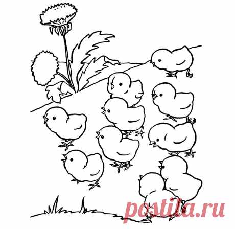 Цыплята на цветочной полянке