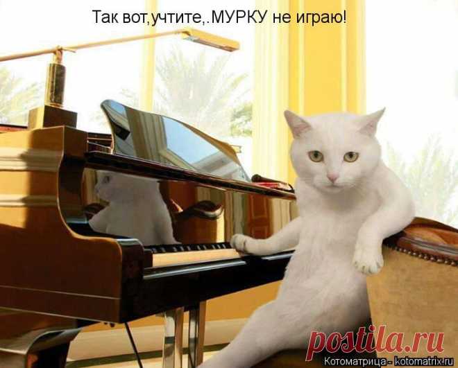 kotomatritsa_eb.jpg (Изображение JPEG, 720 × 579 пикселов)