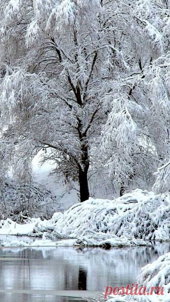 Pinterest