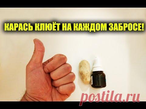 Ушлые рыбаки держат рецепт этой приманки в секрете!