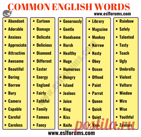 List of 700+ Most Common English Words
