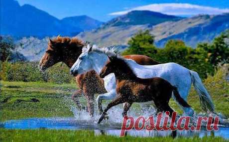 Лара: Теплее Солнца может быть - Любовь ... Ярче Радуги могут быть - Чувства ... Крепче Титана может быть - Вера ... Сильнее Ветра и Воды - Доверие