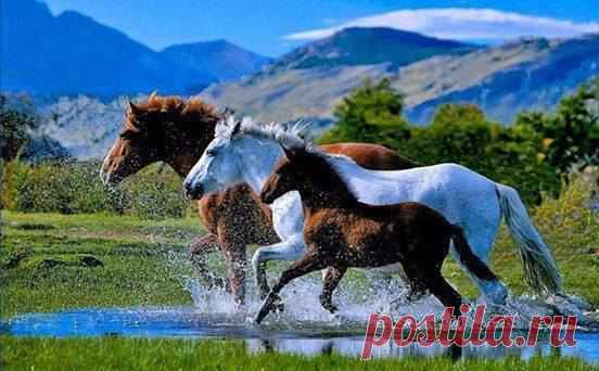 Лара: Теплее Солнца может быть - Любовь ... Ярче Радуги могут быть - Чувства ... Крепче Титана может быть - Вера ... Сильнее Ветра и Воды - Доверие