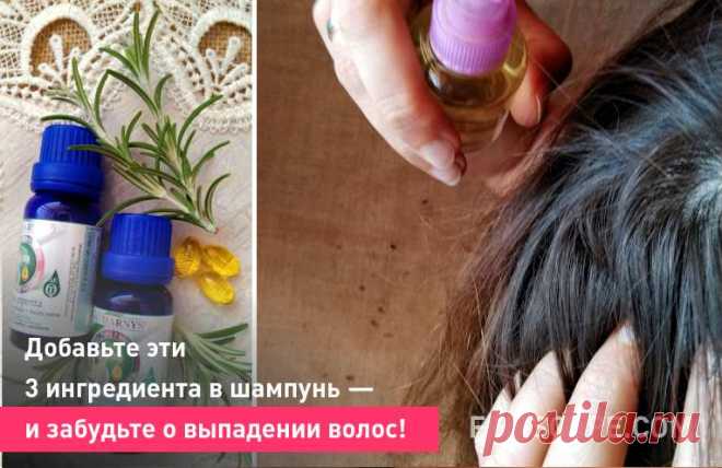 Добавьте эти 3 ингредиента в шампунь - и забудьте о выпадении волос! Необходим правильный и бережный уход за волосами. Мы расскажем, как сделать свой собственный натуральный и эффективный шампунь против выпадения волос. Он очень простой и экономичный.