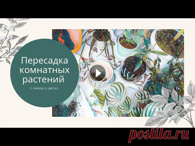 Всегда пересаживаю растения по мере необходимости, невзирая на время года. Вот и на этот раз так сложилось, что на улице уже снег лежит, а работа в мо...