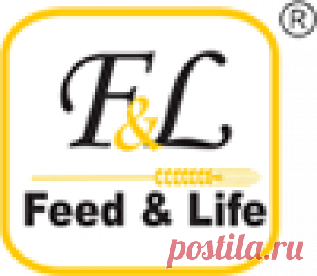 Feed & Life: Купить комбикорм для бройлеров Feed&Life™ Купить корма и комбикорма для бройлеров от производителя Feed&Life ™ Украина $ Цена оптом и в розницу ✈ Выгодная доставка ⭐⭐⭐⭐⭐ Отзывы