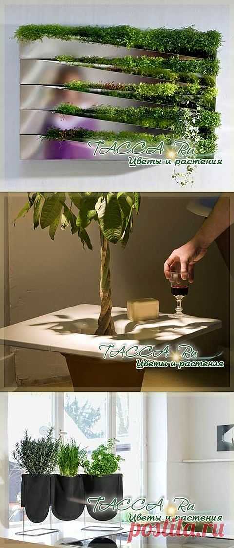 Современные кашпо: дизайн и функциональность.