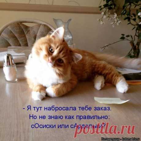 Играл на компе в рыбалку. Поставил РЕАЛИСТИЧНОСТЬ на максимум. В итоге два часа тупо просидел перед экраном. Не клевало... (котоматрицы)