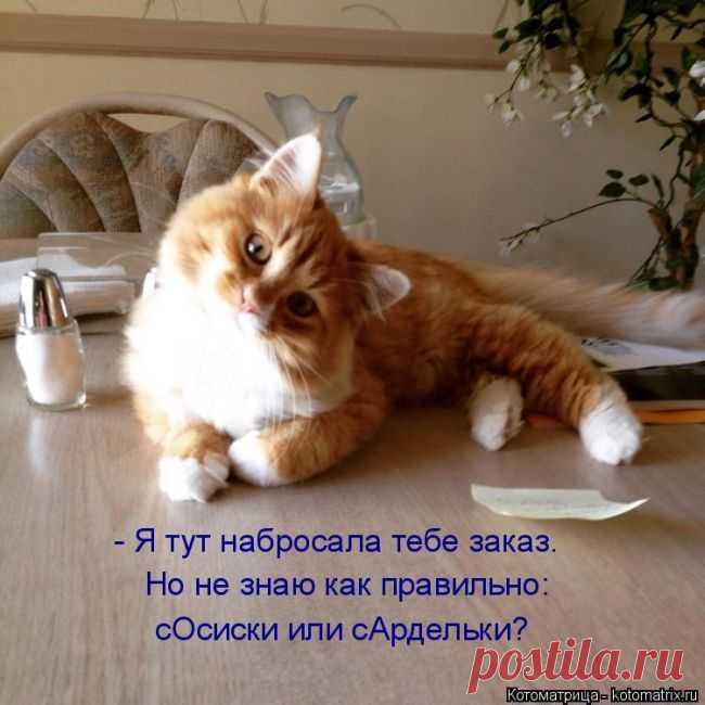 Играл на компе в рыбалку. Поставил РЕАЛИСТИЧНОСТЬ на максимум. В итоге два часа тупо просидел перед экраном. Не клевало... (котоматрицы)