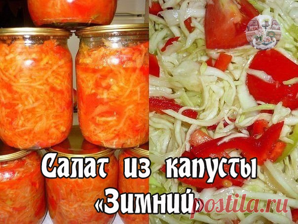Домашний Уют
 Салат из капусты «Зимний»

Шинкуется 1,3 кг капусты и смешивается нарезанным сломкой сладким перцем (0,5 кг), морковью (0,5 кг), и кольцами лука (0,3 кг). К овощной смеси добавляется петрушка (коренья и зелень) и сельдерей. Всё перемешивается и раскладывается в прокаленные пол-литровые банки, в которые предварительно наливается по 2 ст.л. обжаренного растительного масла. Салат тщательно утрамбовывается. Сверху насыпается сахар (по 1 ч.л. в каждую банку) и сол...