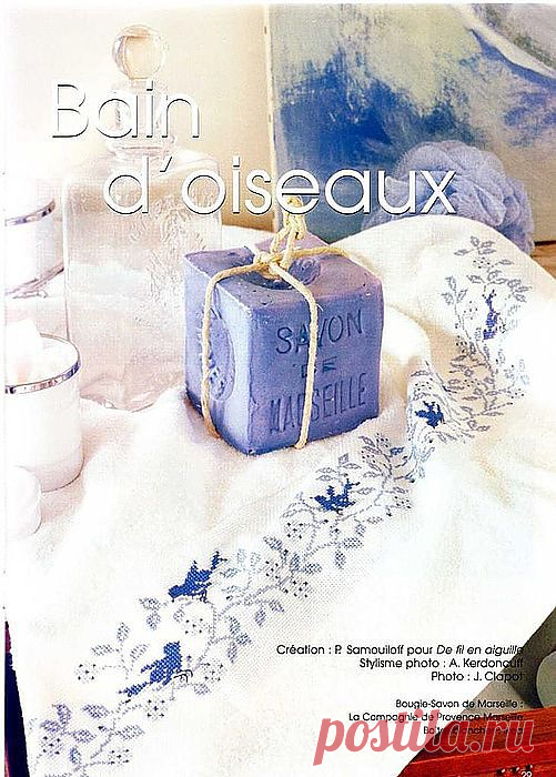 Bain d'oiseaux