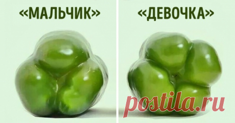 12 гениальных хитростей, которые сделают вас богом кулинарии