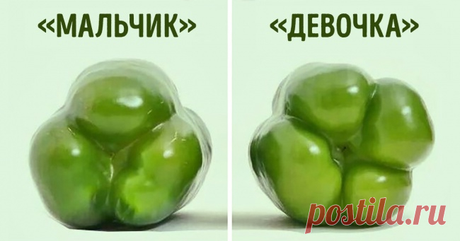 12 гениальных хитростей, которые сделают вас богом кулинарии